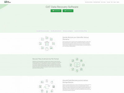 catdatarecovery.com snapshot