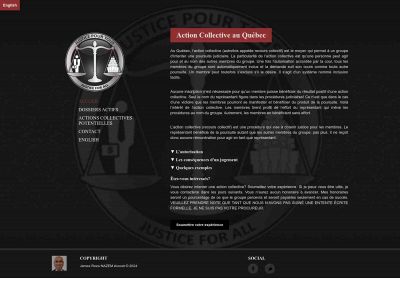 actioncollective.com snapshot