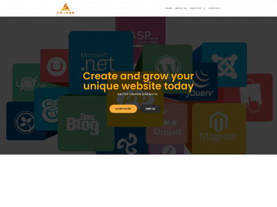 arioseservices.com snapshot