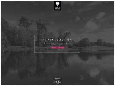 remax-collection.lt snapshot