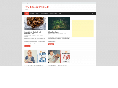 thefitnessworkouts.com snapshot