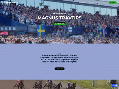 magnustnilsson.se snapshot