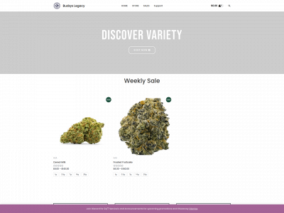 budzyslegacy.ca snapshot