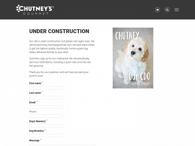 chutneysgourmet.com snapshot