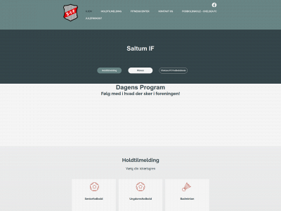 saltumif.dk snapshot
