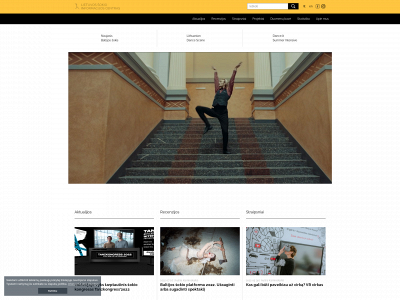 dance.lt snapshot