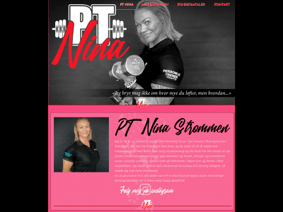 ptnina.no snapshot