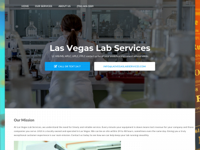 lasvegaslabservices.com snapshot