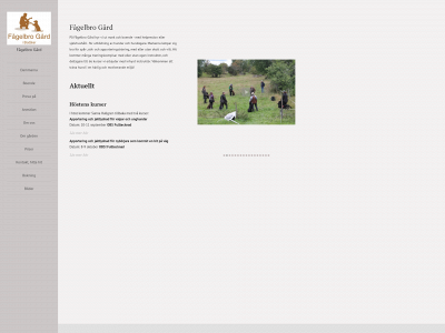 fagelbrogard.se snapshot