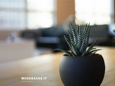 mosebackeit.se snapshot