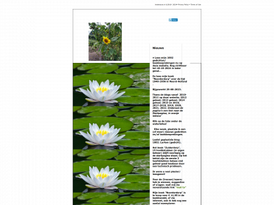 leobesouw.nl snapshot