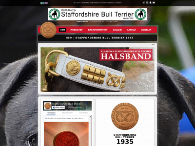 sbt1935.se snapshot