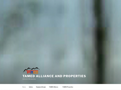 tamedallianceandproperties.com snapshot