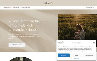 allaitertextile.com snapshot