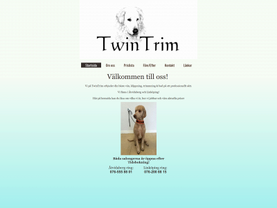 twintrim.se snapshot