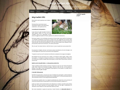 eryngalennfo.it snapshot