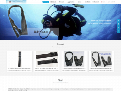 kinzip.com snapshot