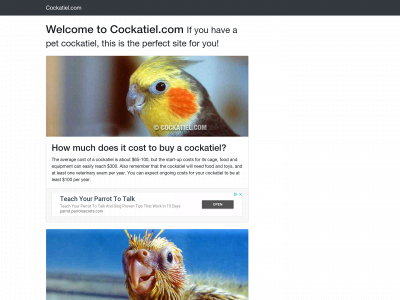 cockatiel.com snapshot