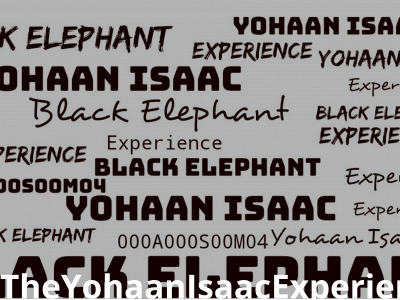 theyohaanisaacexperience.com snapshot