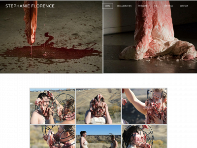 stephanieflorence.weebly.com snapshot