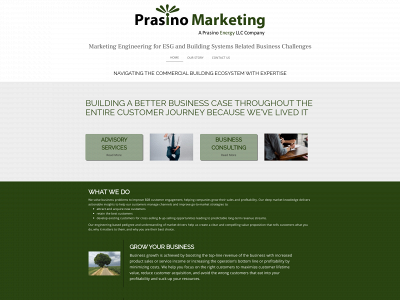 prasinoenergy.com snapshot