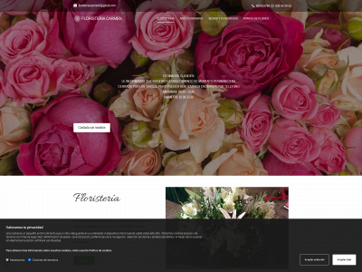 www.floristeriacarmen.es snapshot