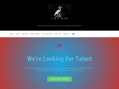 thelucidvisionmedia.com snapshot