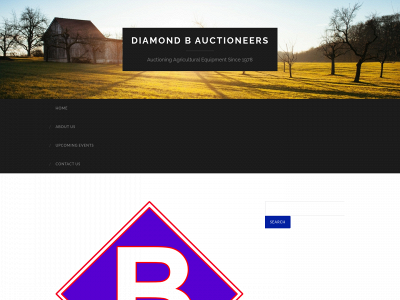 diamondbauctioneers.net snapshot