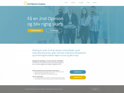 2ndopinion.company snapshot