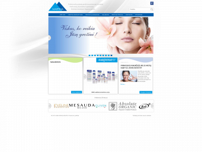 kosvila.lt snapshot