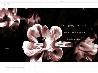 delafiawoo.weebly.com snapshot