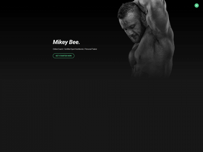 www.mikebrookespt.com snapshot