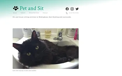petandsit.co.uk snapshot