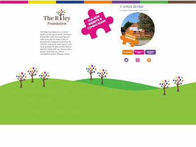 therileyfoundation.co.uk snapshot