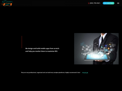 ezoominc.com snapshot