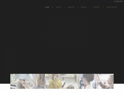 simplystatedhairstudio.com snapshot
