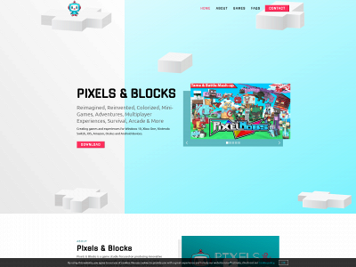 www.pixelsandblocks.com snapshot