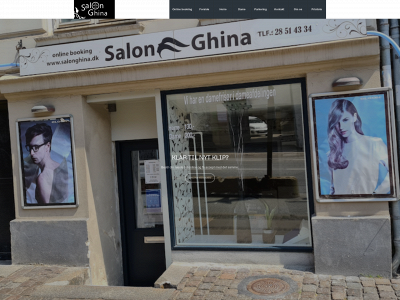 salonghina.dk snapshot