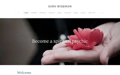 www.sarawiseman.com snapshot