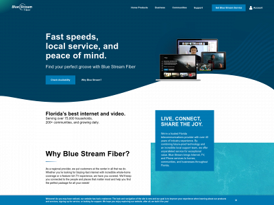 www.itsfiber.com snapshot
