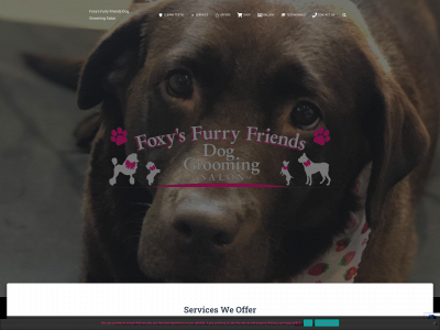 foxysdoggrooming.co.uk snapshot