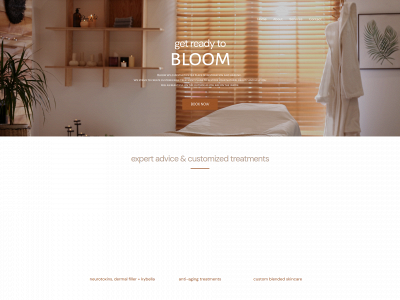bloomwildaesthetics.com snapshot