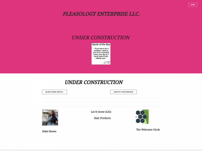 www.pleasologyenterprisellc.com snapshot
