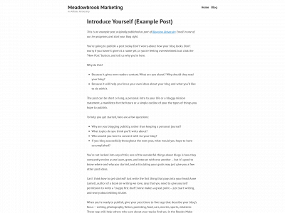 meadowbrookmarketing.com snapshot