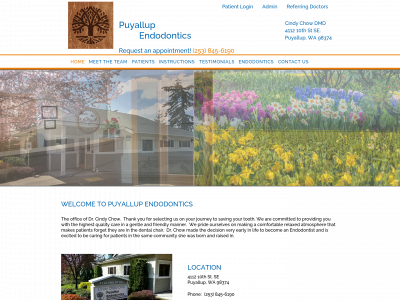 puyallupendodontics.com snapshot