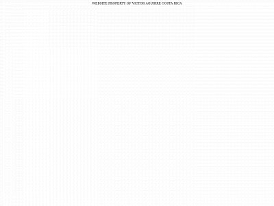victorbienesraices.com snapshot