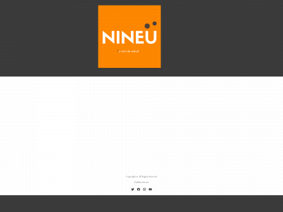 nineuone.com snapshot