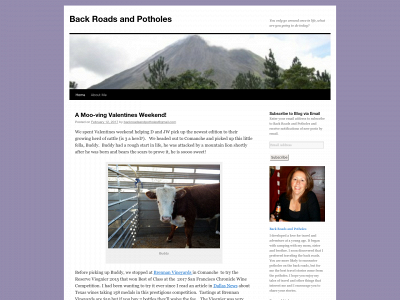 backroadsandpotholes.com snapshot