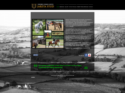 jareta.co.uk snapshot