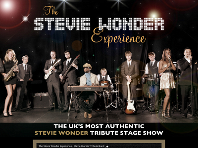steviewondertribute.co.uk snapshot